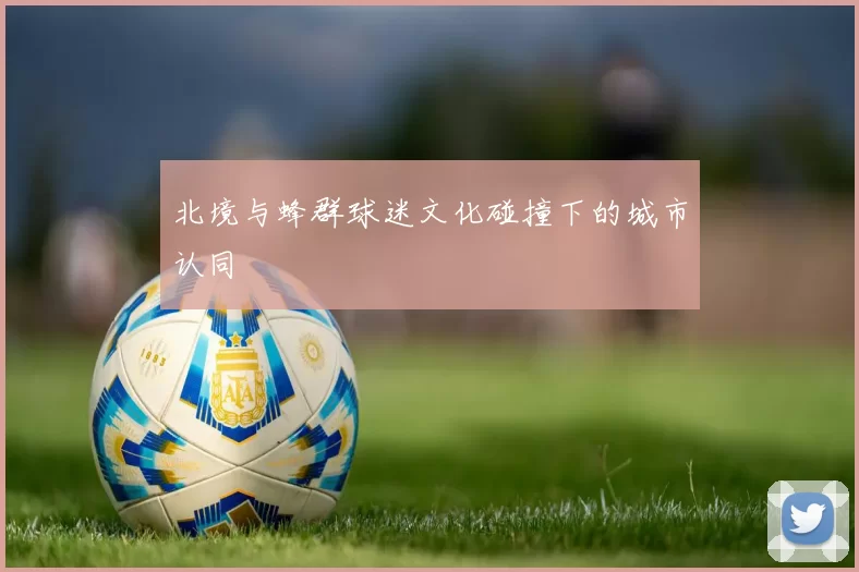 北境与蜂群球迷文化碰撞下的城市认同